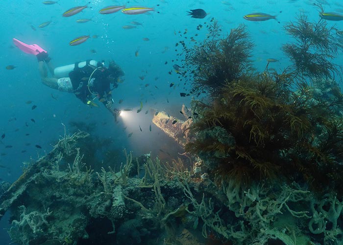 diving Coron Palalwan